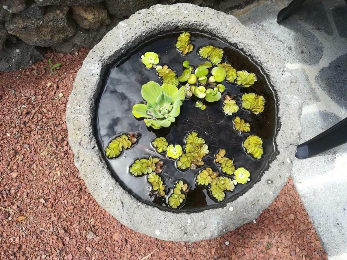 Casa Das Sereias Rabo de Peixe Luaran gambar